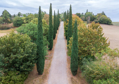 Allée du domaine le Meilon lieu de mariage réception près de Toulouse