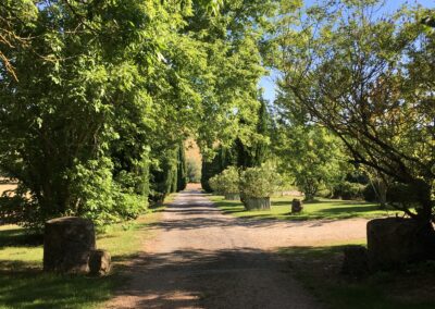 Allée du Domaine le Meillon lieu de réception mariage Gers