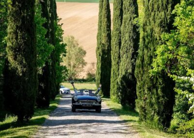 arrivée des mariés allée domaine le meillon
