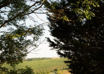 vue vigne domaine le meillon